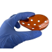 Накладка на глаз NAR Polycarbonate Eye Shield (PES)